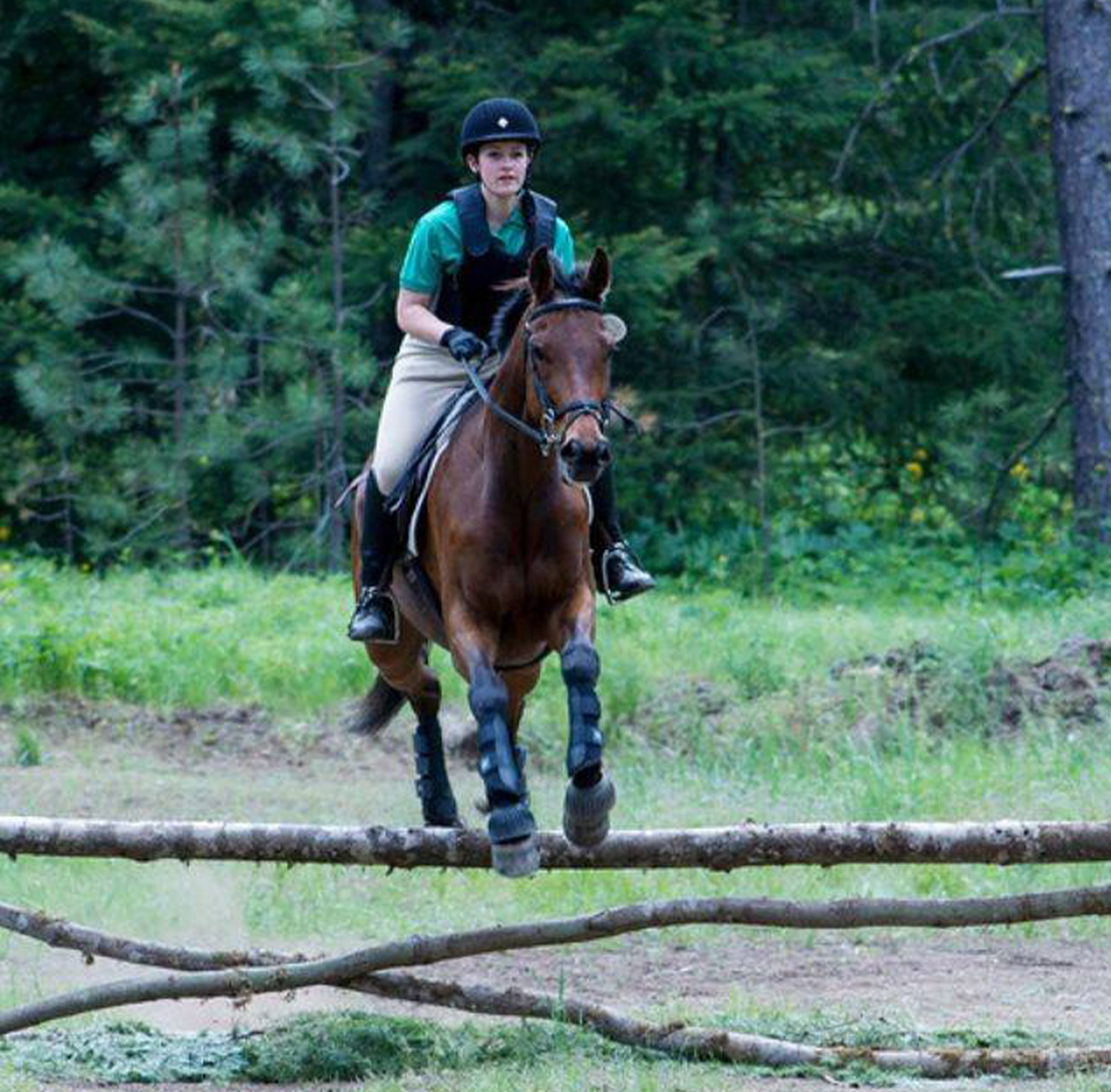Horses.